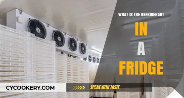 Understanding the Role of Refrigerant in Your Fridge's Cooling System