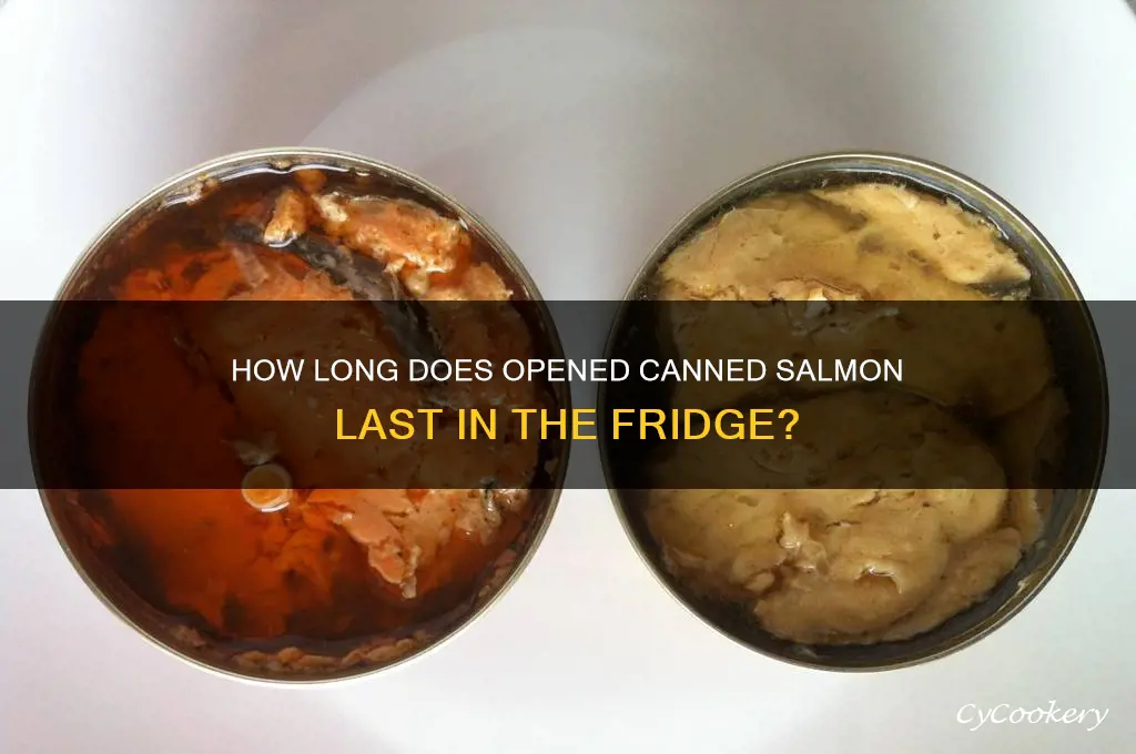 what is the refrigerator life of canned salmon after opening
