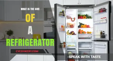 Understanding the Standard Size of a Refrigerator for Your Kitchen