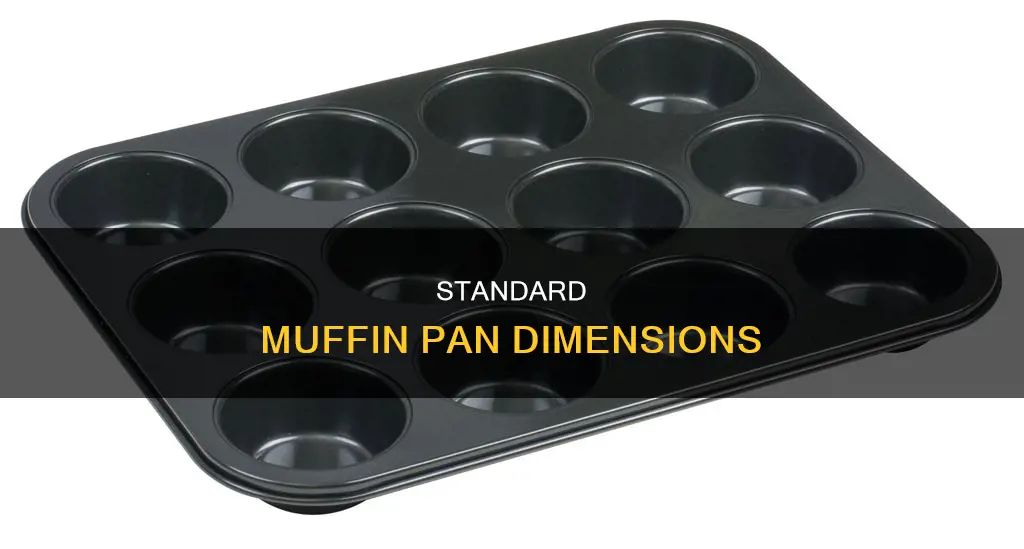 what is the size of a muffin pan