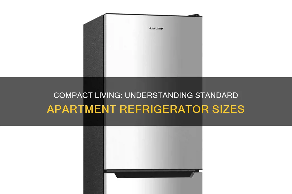 what is the size of an apartment refrigerator
