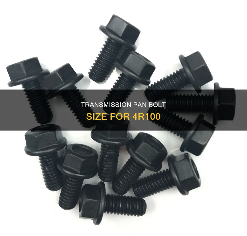 what is the size of the 4r100 transmission pan bolts