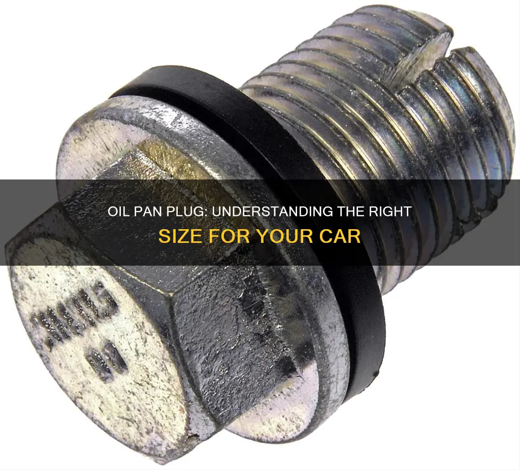 what is the size of the oil pan plug