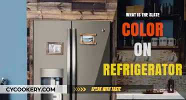Understanding the Slate Color Trend on Modern Refrigerators