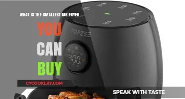 Small But Mighty: The Tiny Air Fryer Revolution