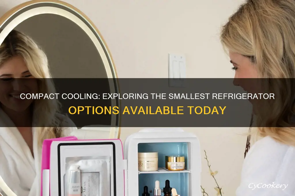 what is the smallest refrigerator you can buy