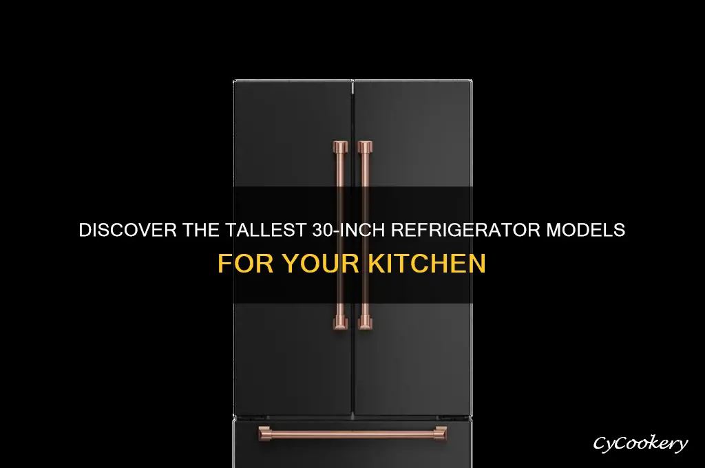 what is the tallest 30 inch refrigerator