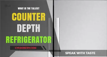 Discover the Tallest Counter Depth Refrigerator Models for Modern Kitchens