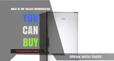 Discover the Tallest Refrigerator Models Available for Your Kitchen