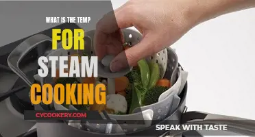 Steam Cooking: Perfect Temperature Control for Delicious Results