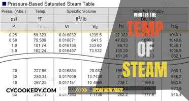 Steam's Hot: Understanding Temperature of Vaporization