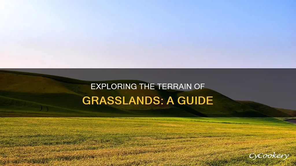 what is the terrinan like at a grassland