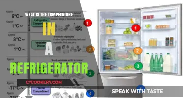 Optimal Refrigerator Temperature: Keeping Food Fresh and Safe
