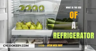The Essential Role of Refrigerators in Modern Daily Life