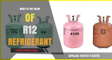 Understanding the Value and Impact of R12 Refrigerant Today
