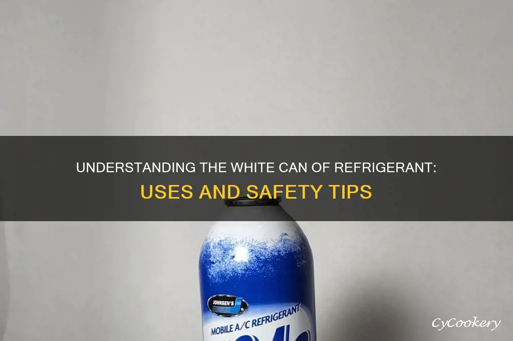 what is the white can of refrigerant in