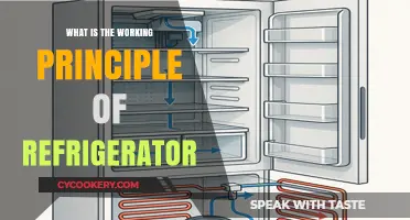 How Refrigerators Work: Understanding the Cooling Mechanism Inside