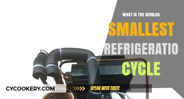 Exploring the Tiny World of the Smallest Refrigeration Cycle