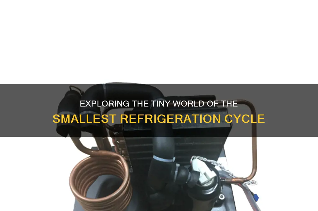 what is the worlds smallest refrigeration cycle