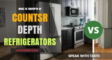 Understanding Counter Depth Refrigerators: Depth, Design, and Space Efficiency