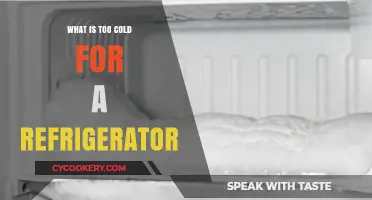 Chilling Truth: What Temperature is Too Cold for Your Fridge?