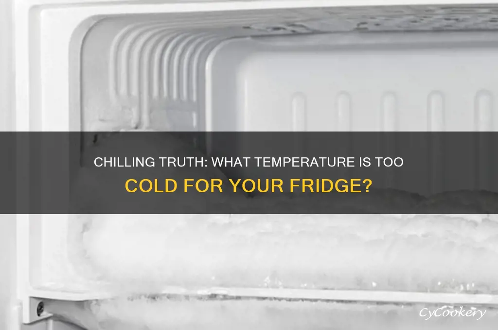 what is too cold for a refrigerator