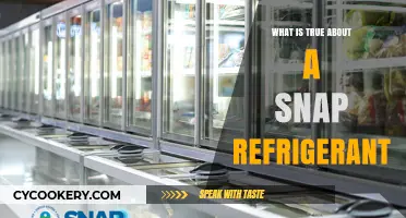 Understanding Snap Refrigerants: Facts, Benefits, and Environmental Impact
