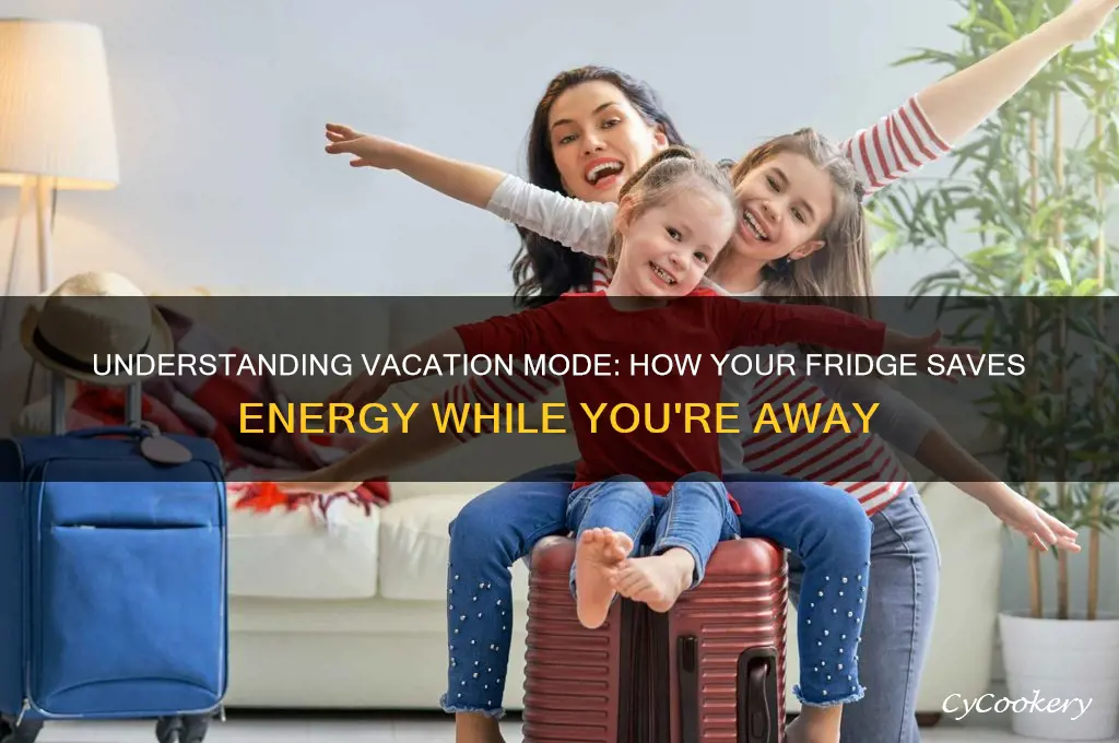 what is vacation mode on a refrigerator