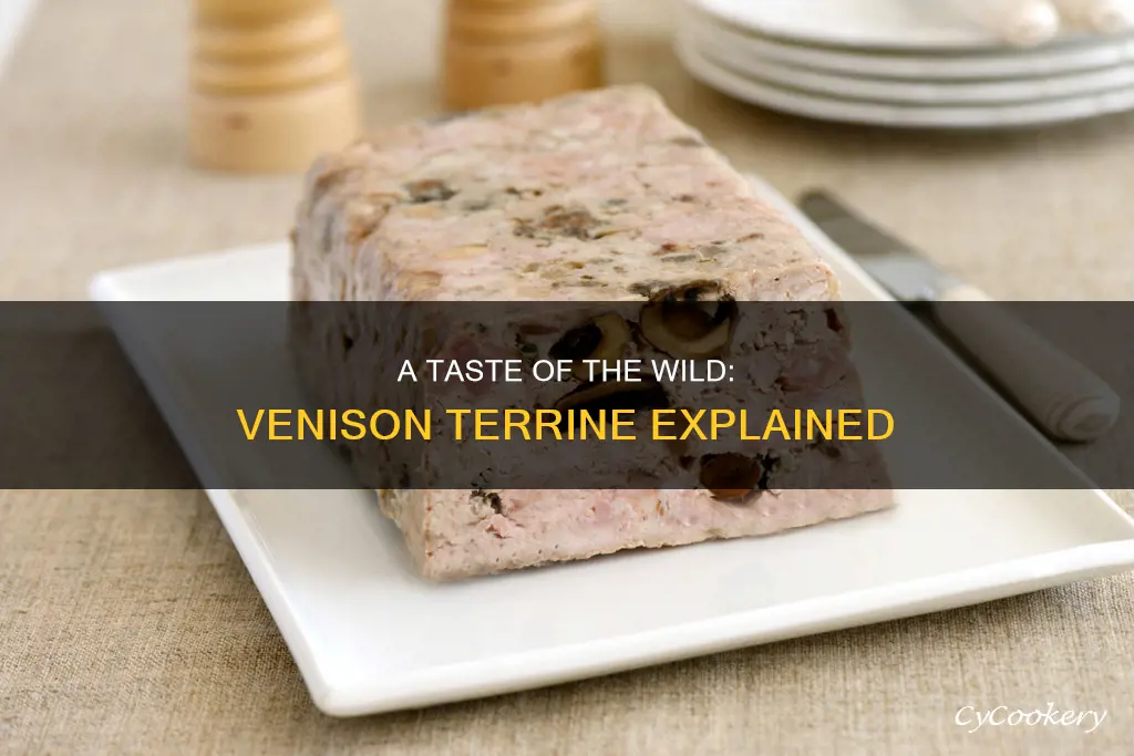 what is venison terrine