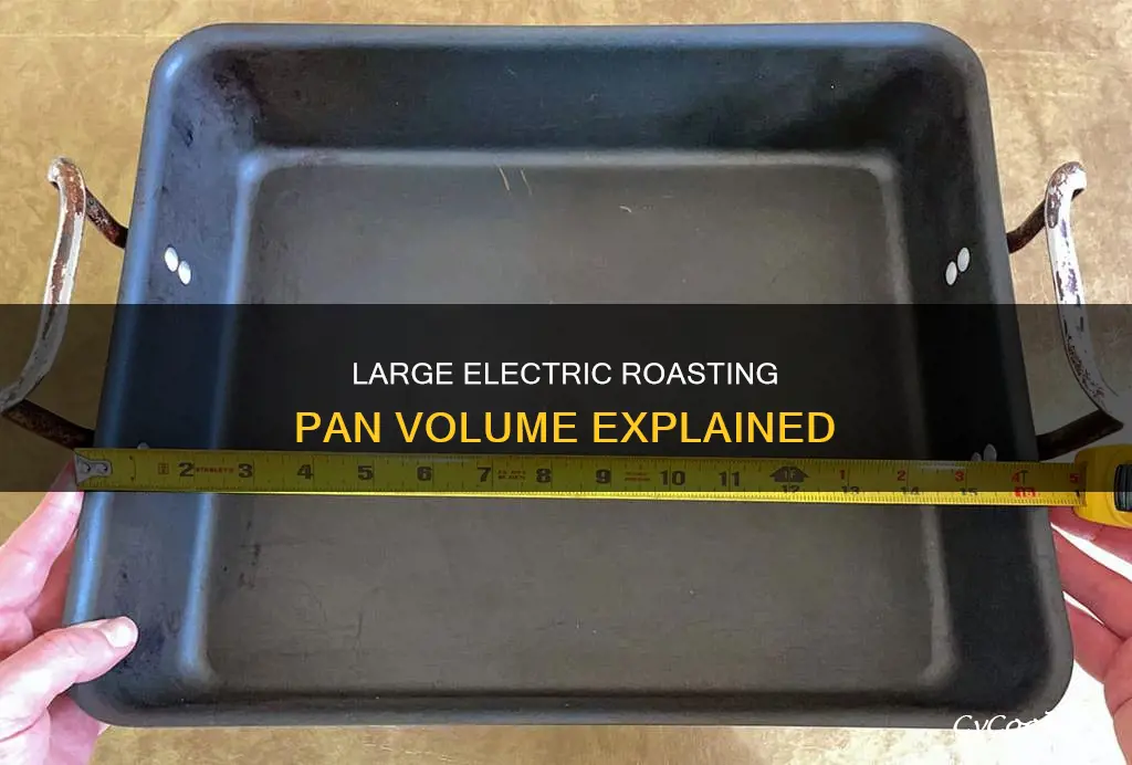 what is volume of a large electric roasting pan