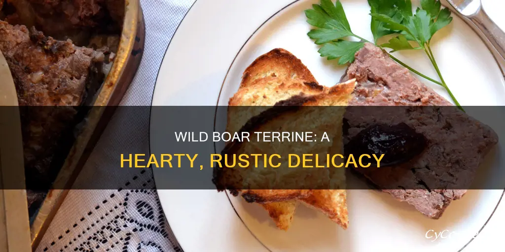 what is wild boar terrine