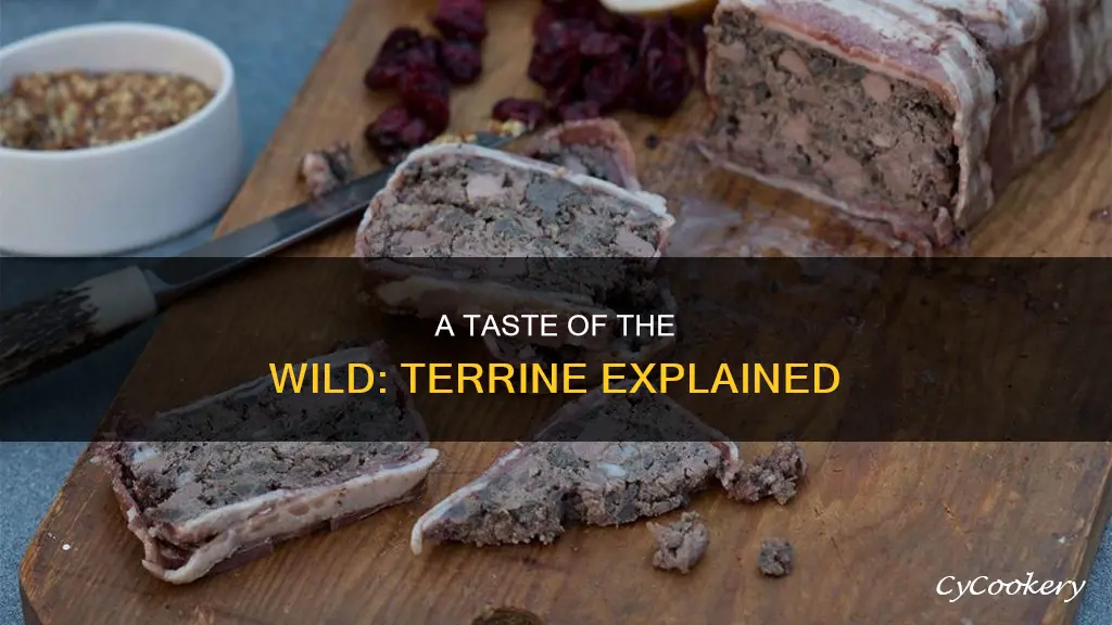 what is wild game terrine