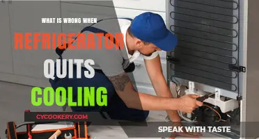Why Your Refrigerator Stops Cooling: Common Causes and Fixes