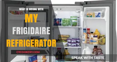 Troubleshooting Frigidaire Refrigerator Issues: Common Problems and Quick Fixes