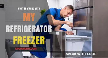 Troubleshooting Common Refrigerator Freezer Issues: What’s Wrong and How to Fix It