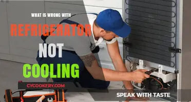 Why Your Refrigerator Isn't Cooling: Common Causes and Fixes