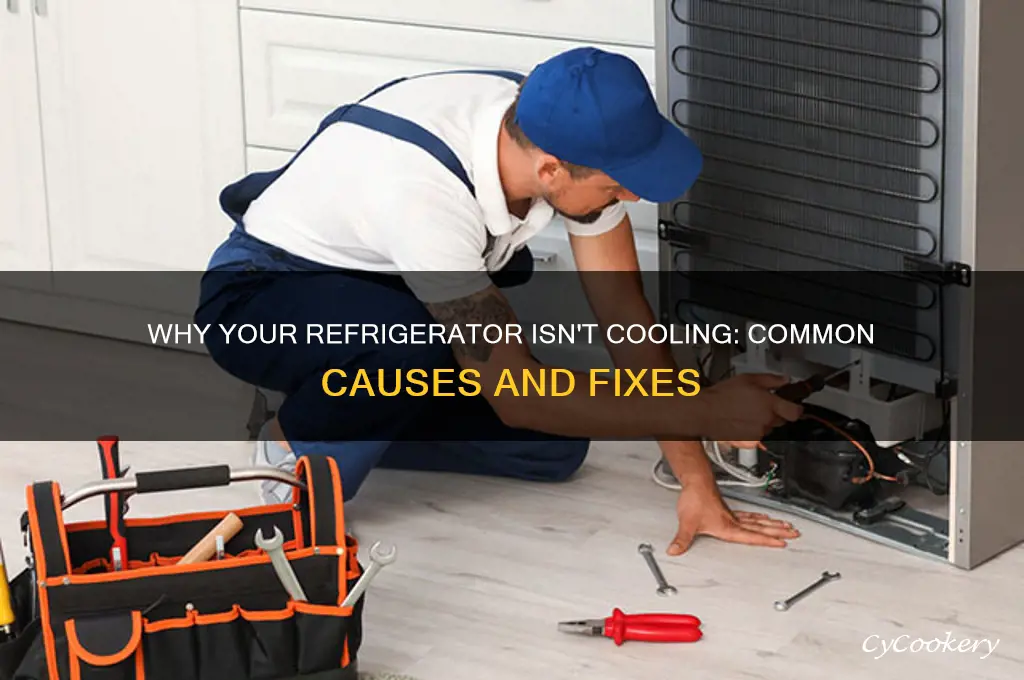 what is wrong with refrigerator not cooling
