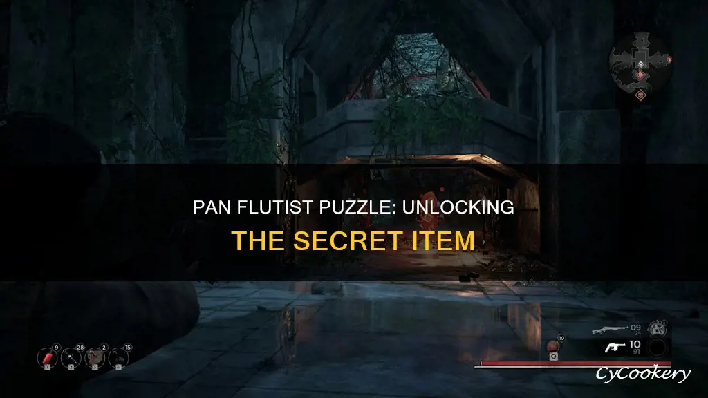 what item do you get from the pan flutist puzzle