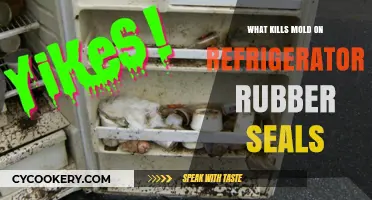 Effective Ways to Eliminate Mold on Refrigerator Rubber Seals