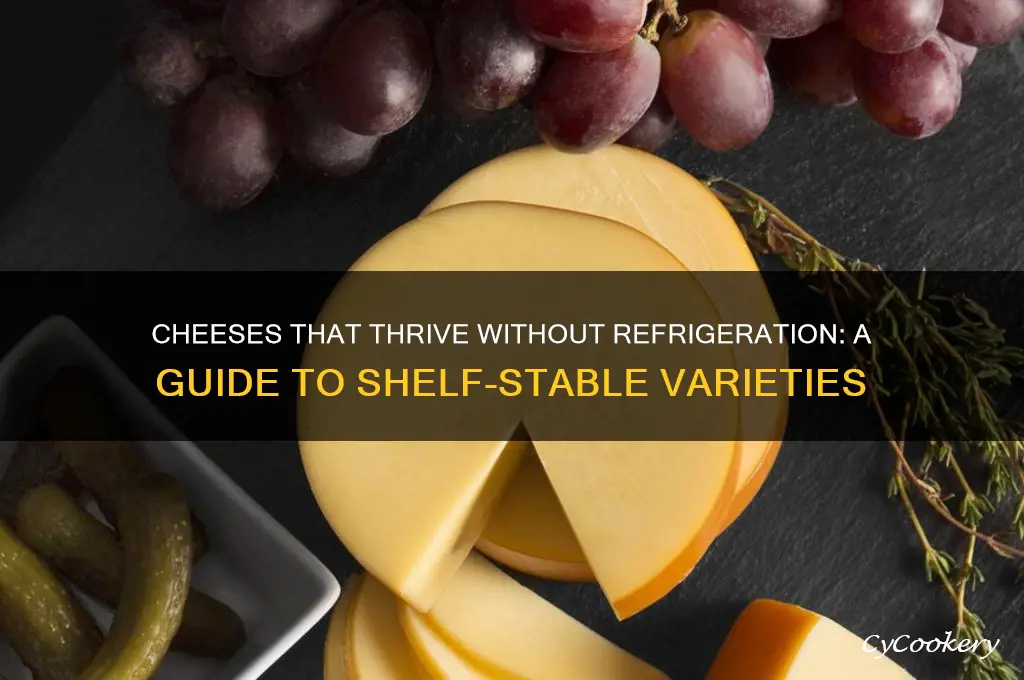 what kind od chees can stay outside refrigerator