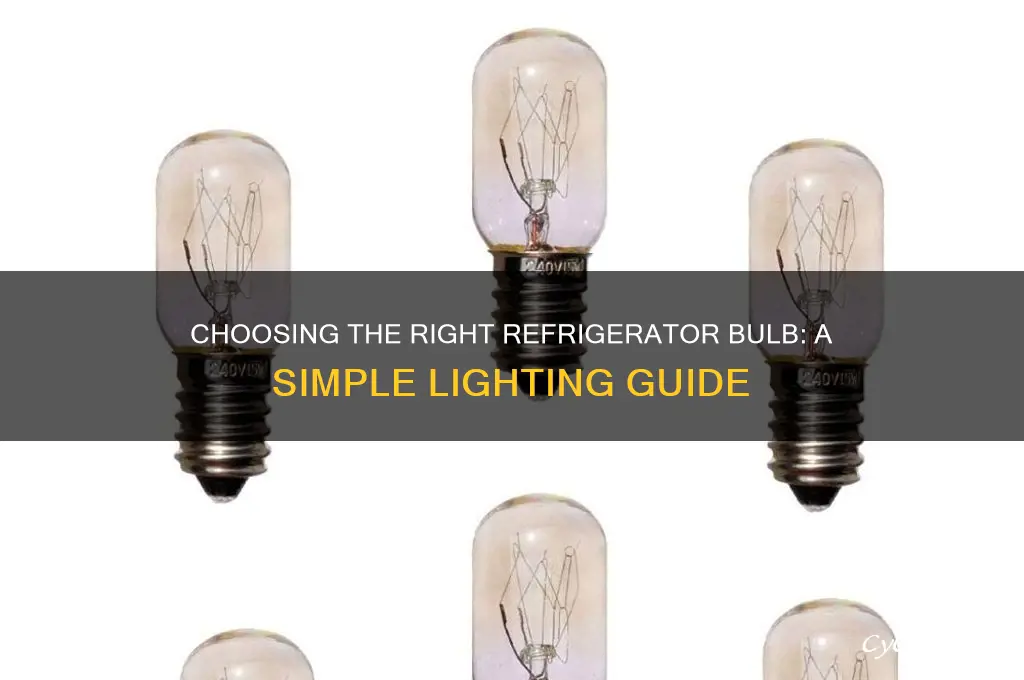 what kind of bulb goes in refrigerator