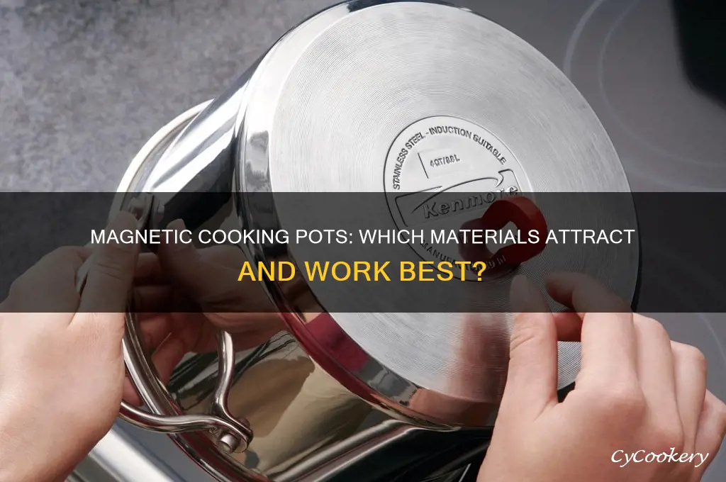 what kind of cooking pot is magnetic