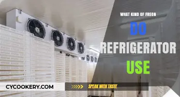 Understanding the Type of Freon Used in Modern Refrigerators