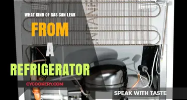 Refrigerator Gas Leaks: Identifying Common Types and Potential Risks