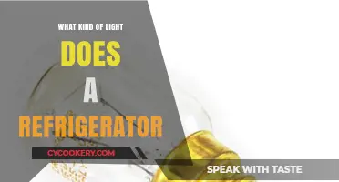 What Type of Light Does a Refrigerator Use and Why?