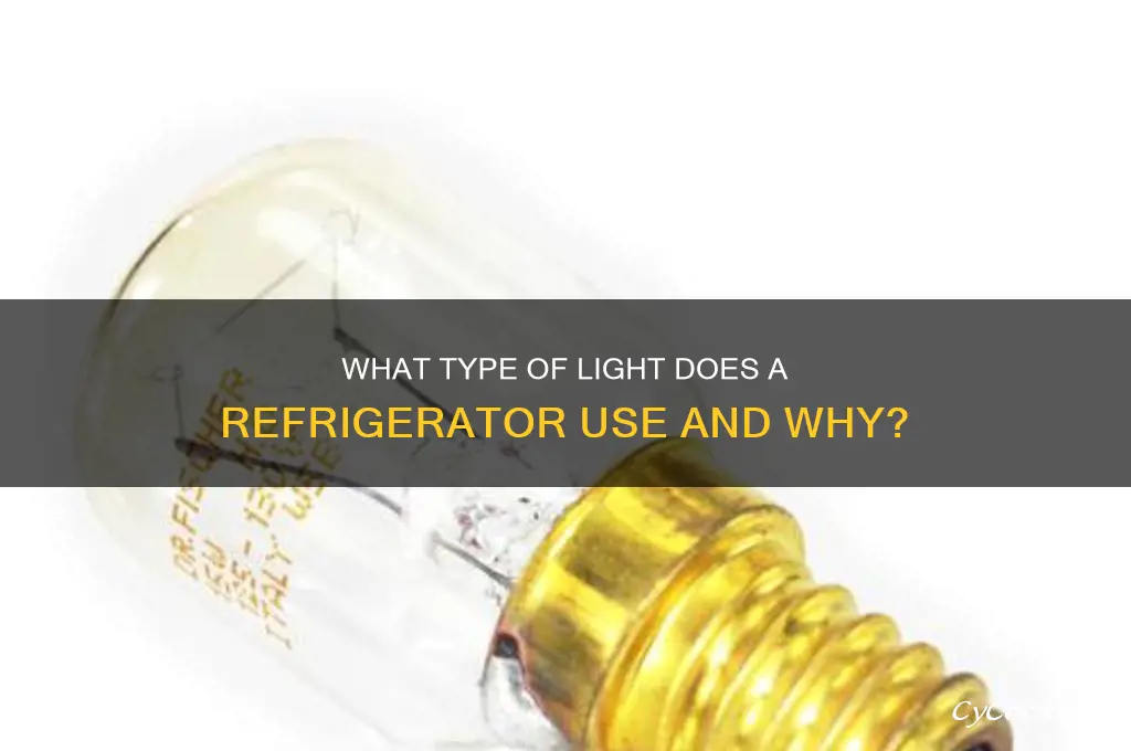 what kind of light does a refrigerator
