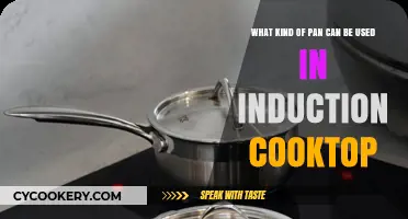 Induction Cooktops: Choosing the Right Pans