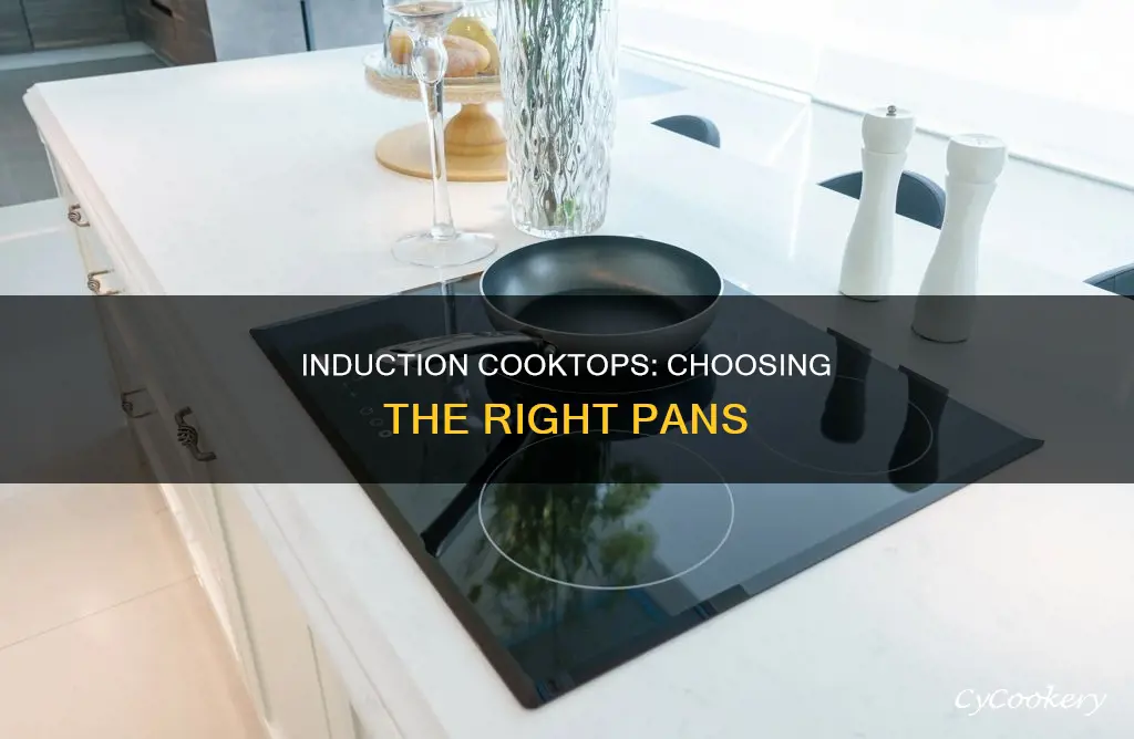 what kind of pan can be used in induction cooktop