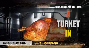 Best Pans to Cook a Delicious Turkey