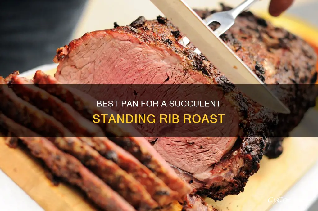 what kind of pan for standing rib roast